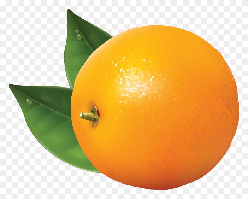 3560x2818 Оранжевый Клипарт Бесплатные Картинки - Лимонное Дерево Клипарт