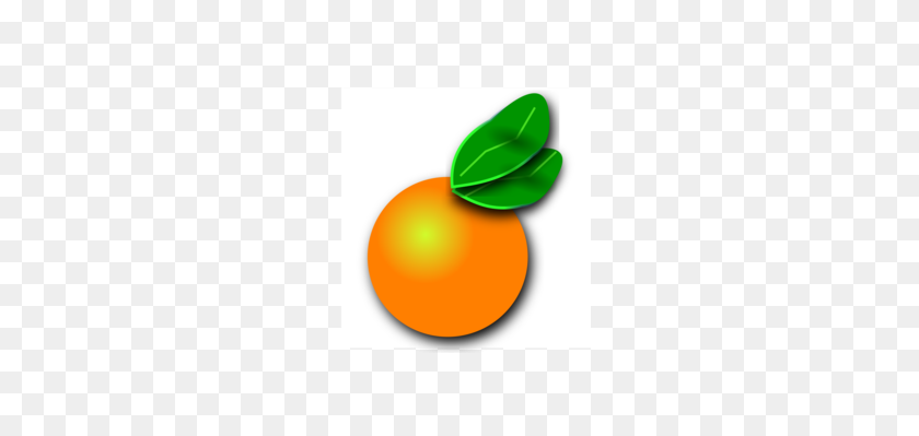 240x339 Orange Download Fruit Citrus - Lemon Tree Clipart