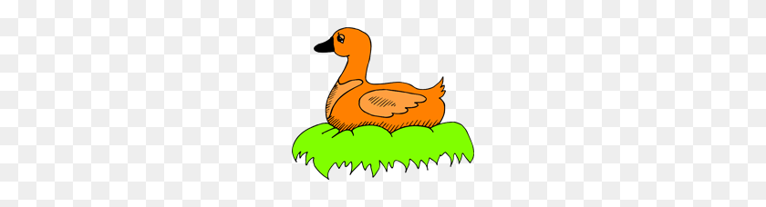 200x168 Orange Duck In Nest Png Clip Arts For Web - Nest PNG