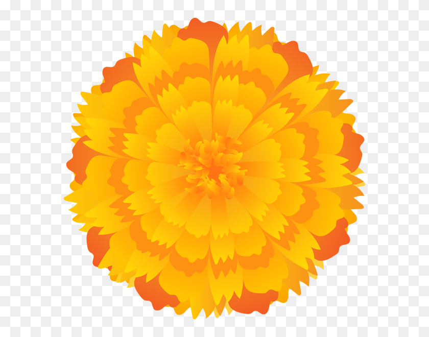 600x600 Orange Flower Clip Art Png - Marigold Clipart