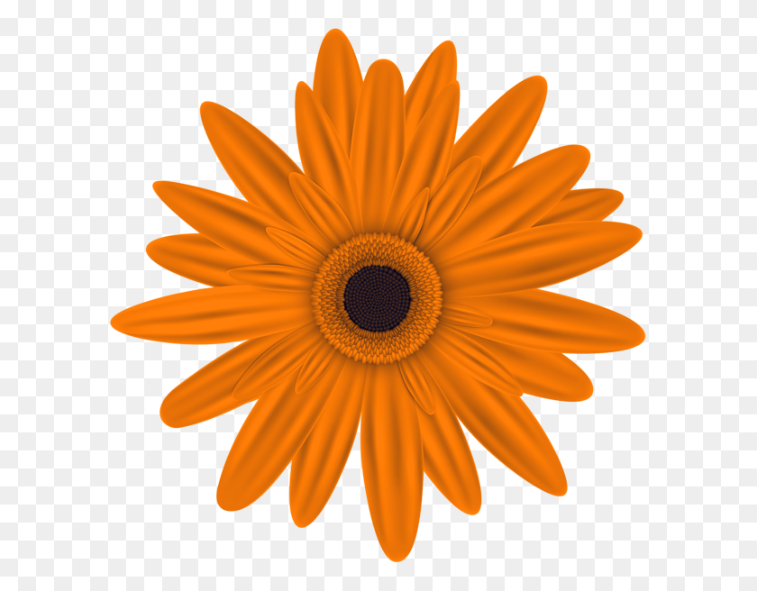 600x596 Orange Flower Clip Art Png Image Aa Flores Orange - Orange Flower PNG