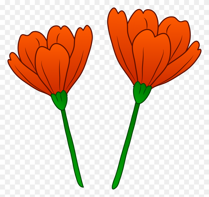 6191x5802 Оранжевый Цветок Клипарт Картинки - Нет Давида Клипарт