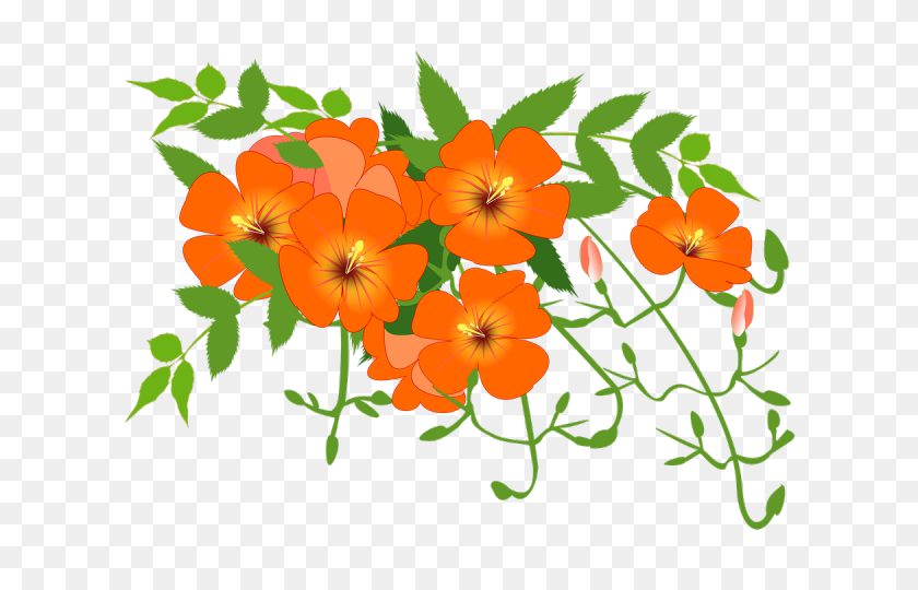 640x480 Orange Flower Clipart Five Flower - Five Clipart