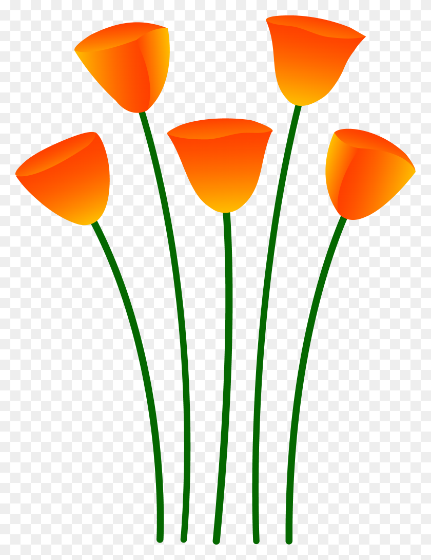 5992x7919 Оранжевый Цветок Клипарт Летний Цветок - Летние Цветы Клипарт