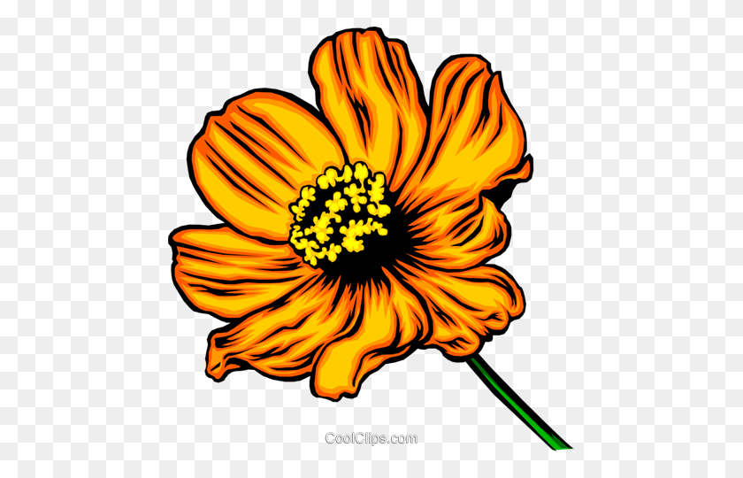 459x480 Orange Flower Royalty Free Vector Clip Art Illustration - Orange Flower Clipart