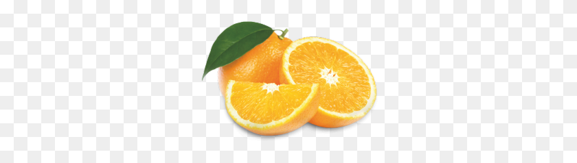 260x178 Orange Fruit Concentrate - Oranges PNG