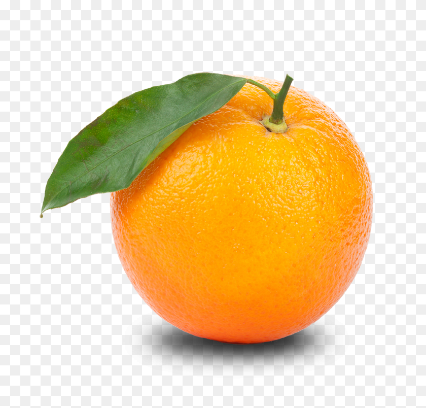 744x744 Оранжевый Hd Png Прозрачный Оранжевый Hd Изображения - Оранжевый Фон Png