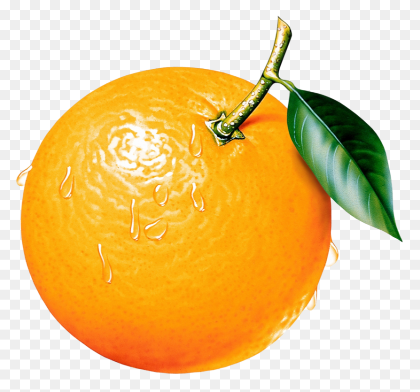 830x772 Orange Hd Png Transparent Orange Hd Images - Grapefruit PNG
