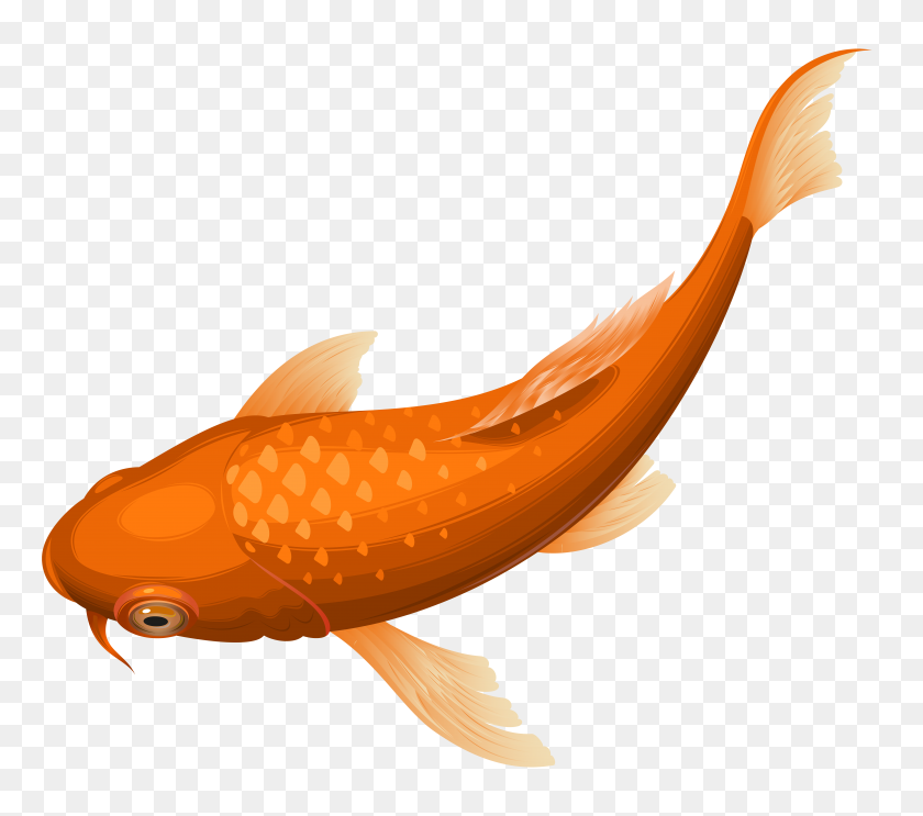 8000x7007 Orange Koi Fish Transparent Clip Art Png Gallery - Orange Fish Clipart