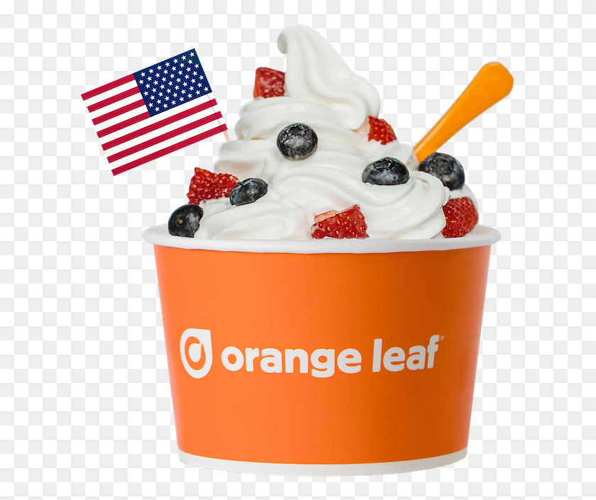 617x645 Orange Leaf Frozen Yogurt Treats - Frozen Yogurt PNG