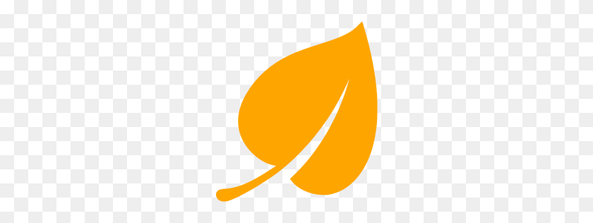 256x256 Orange Leaf Icon - Leaf Icon PNG