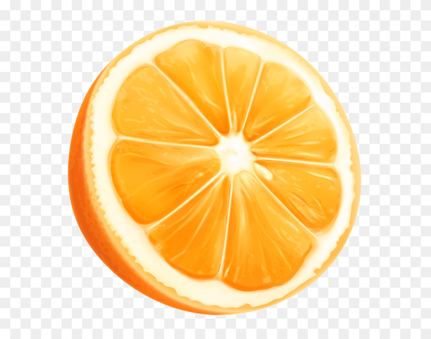 595x600 Orange Slice Png Clip Art - Citrus Clipart