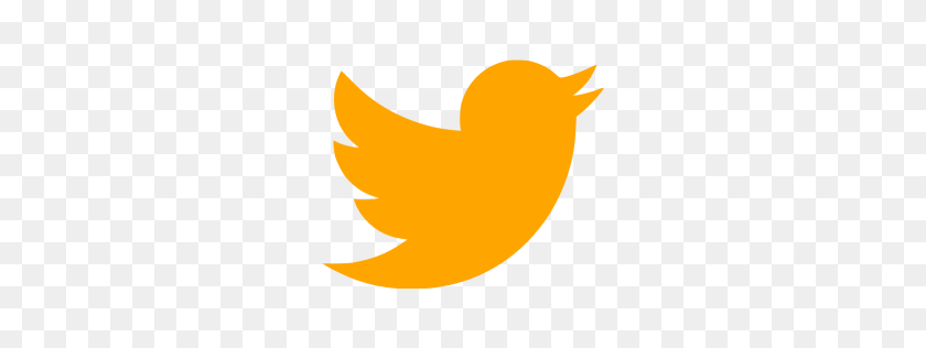256x256 Orange Twitter Icon - Twitter Icon PNG