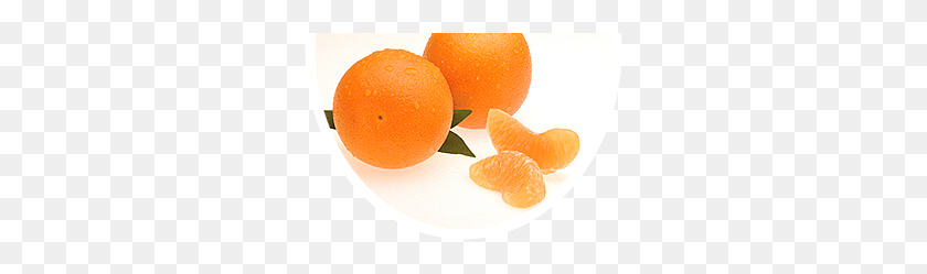 296x189 Naranjas Pcn De La Marca - Naranjas Png