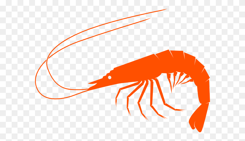 600x426 Orangeshrimp Clip Art - Shrimp Clipart Free