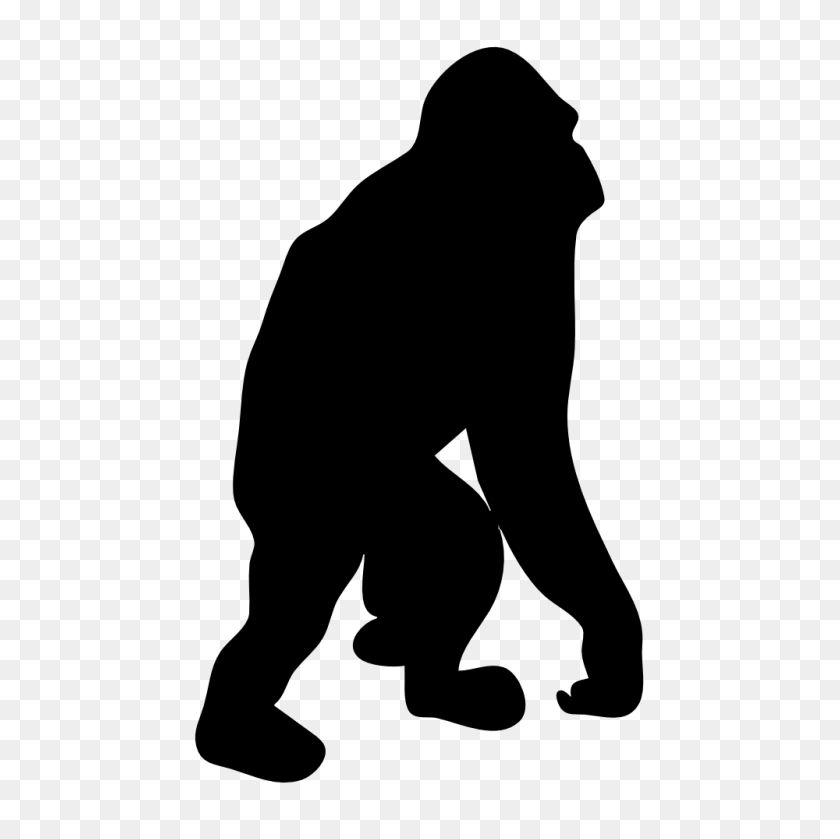 1000x1000 Orangutan Cliparts - Chimpanzee Clipart