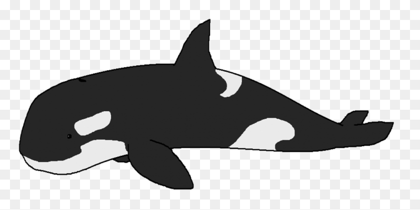 1024x475 Orca - Orca Whale Clipart