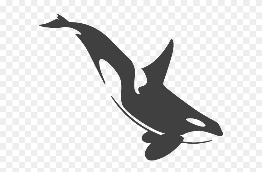 600x492 Orca - Killer Whale PNG