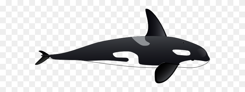 600x257 Orca Clip Art - Cute Dolphin Clipart