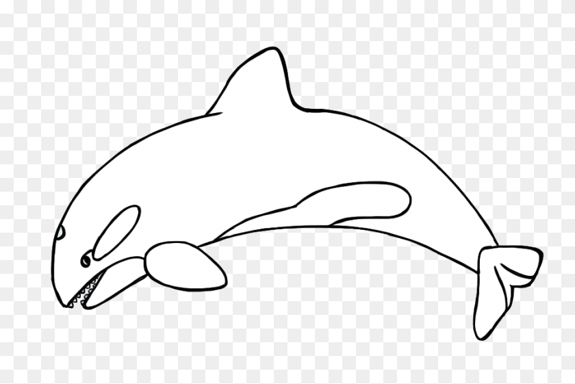 894x575 Orca Clipart Antarctic Animal - Whale Tail Clipart