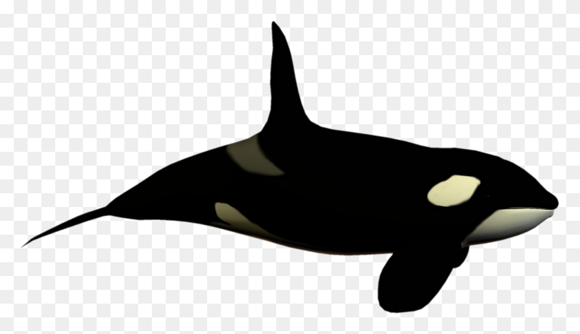 1600x870 Orca Clipart Fish Tail - Whale Tail Clip Art