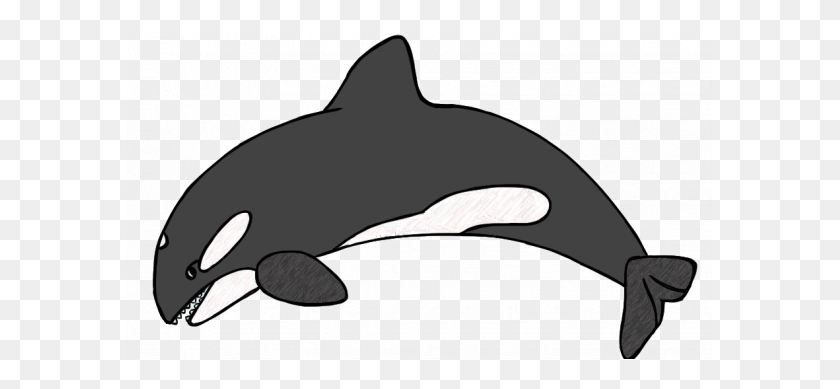 585x329 Orca Clipart Whale Digital Dxf Sweet Sardinia Orca - Whale Tail Clipart