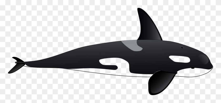 2400x1027 Orca Icons Png - Orca PNG