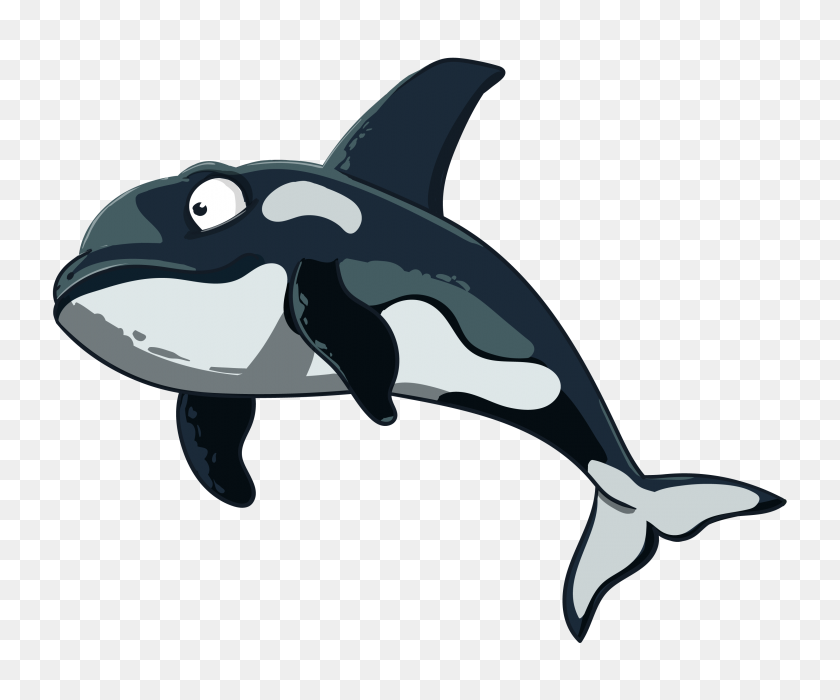 3000x2465 Orca In Vector Free Vectors For Download - Orca PNG