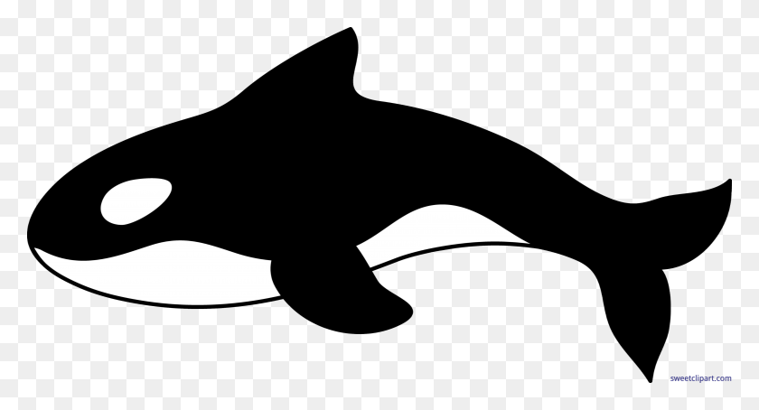 9823x4968 Orca Whale Clip Art - Orca Whale Clipart