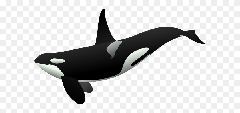 600x335 Orca Whale Clip Art - Whale Clipart