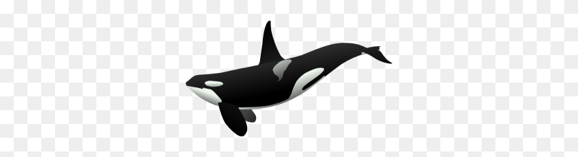 300x168 Orca Whale Clipart Orca Clip Art - Free Whale Clipart