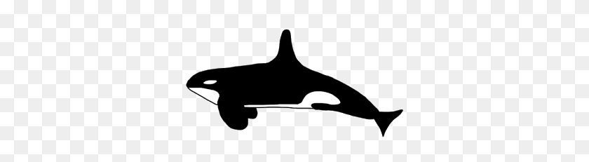 320x171 Orcas Clipart - Orca Whale Clipart
