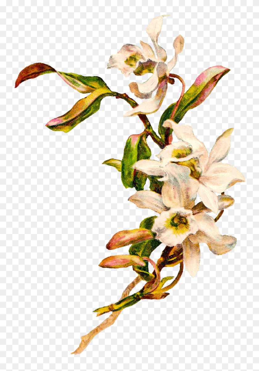 975x1432 Orchid Cross Cliparts - Cross With Flowers Clipart
