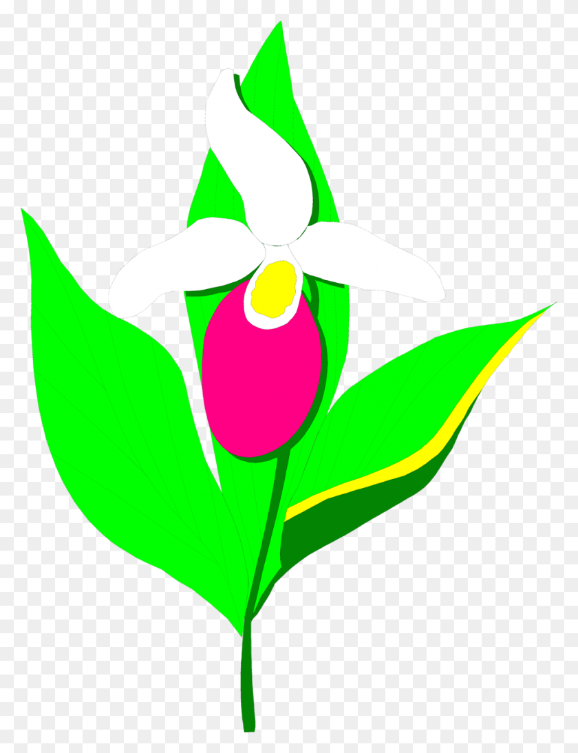 958x1270 Орхидея Цветок Картинки - Тапочки Клипарт Черный И Белый
