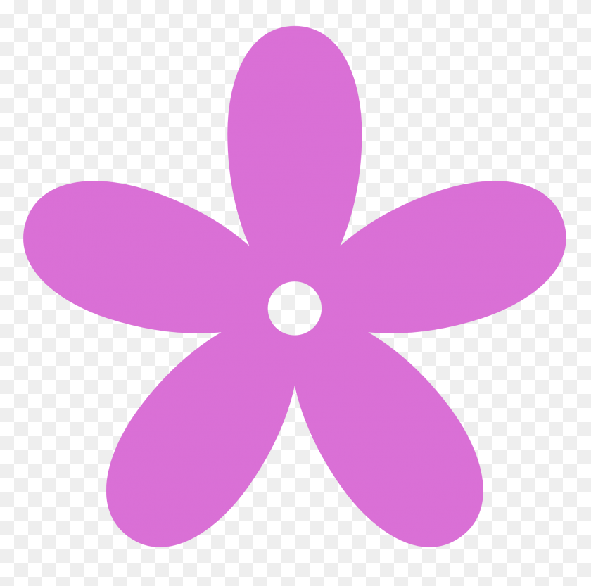 1969x1952 Орхидея Цветок Картинки - Клематисы Клипарт