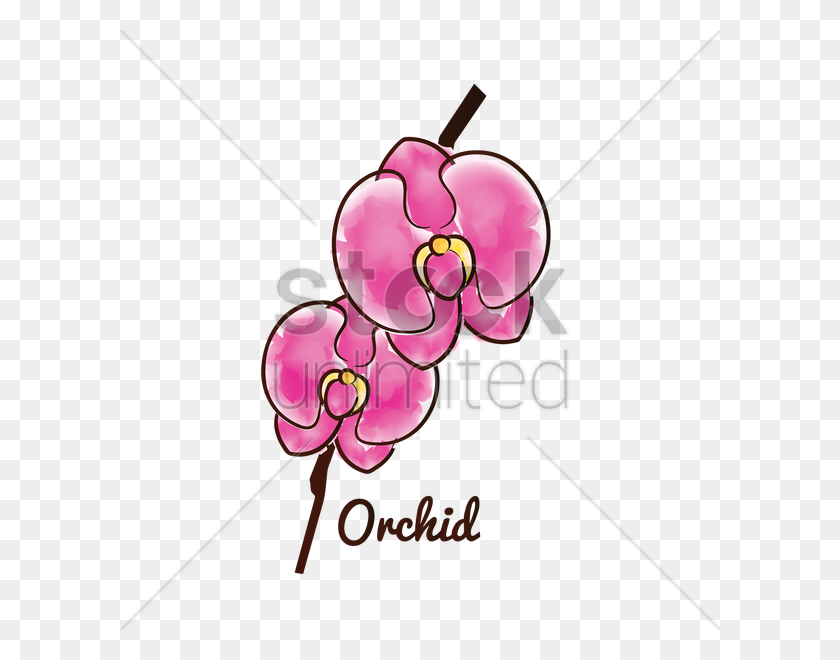 600x600 Orchid Flower Vector Image - Watercolour Clipart