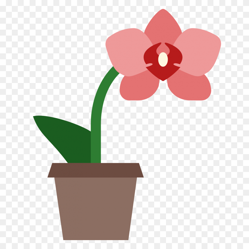 1600x1600 Orchid Icon - Orchid PNG