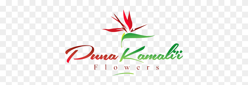 400x230 Ordering And Shipping Details Puna Kamalii Flowers, Inc - Tropical Flowers PNG