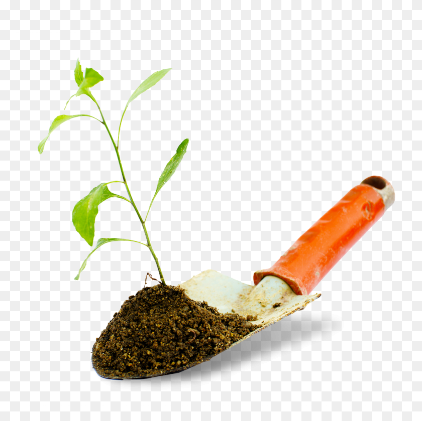 1000x1000 Органические Питательные Вещества Для Почвы Или Оптимального Роста Растений - Почва Png