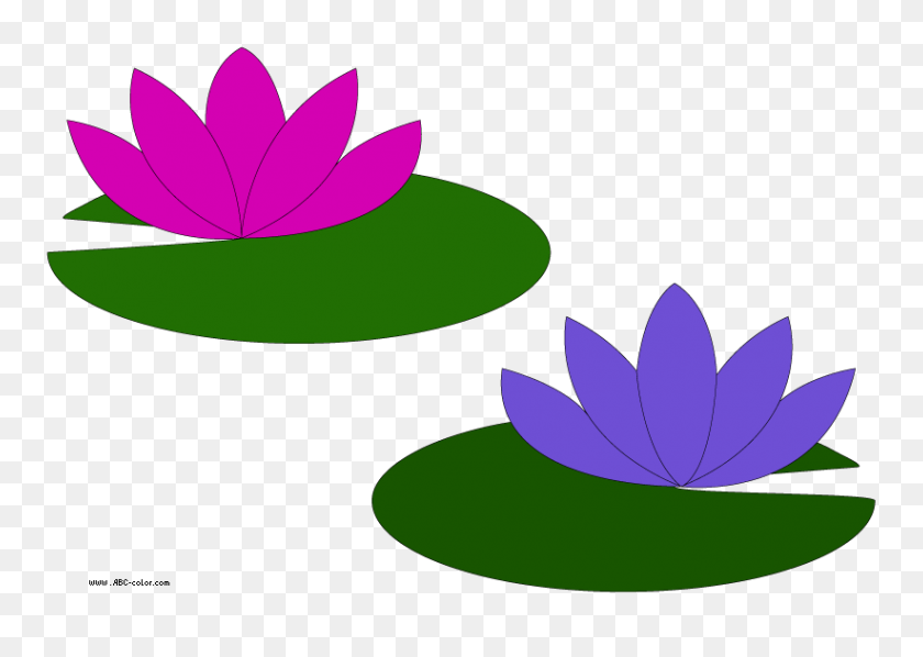 822x567 Oriental Clipart Water Lily - Enlightenment Clipart