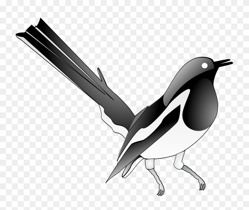 900x750 Oriental Magpie Robin Png Clip Arts For Web - Robin Clipart Black And White