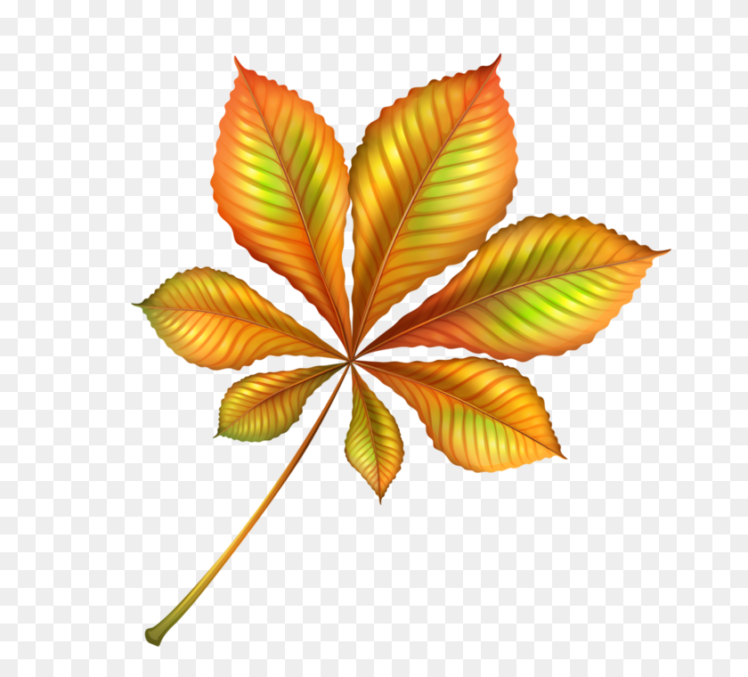 695x700 Orig - Flower With Leaves Clipart
