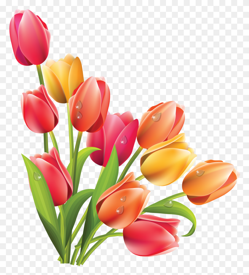4817x5358 Orig Beautiful - Tulip Clipart Blanco Y Negro