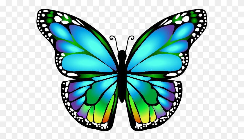 589x424 Orig Butterflies Bugs - Cocoon Clipart