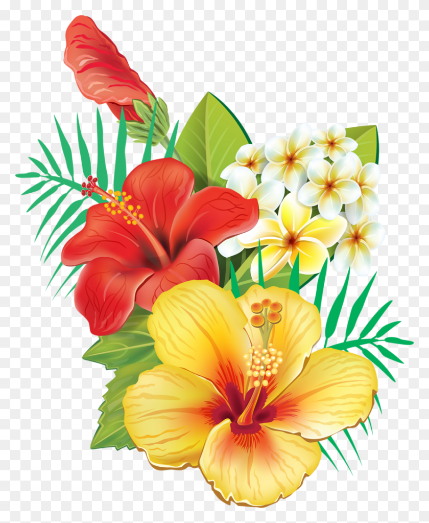 829x1024 Orig Clip Flowers - Tropical Border Clipart