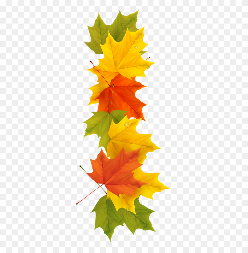 325x800 Orig Clipart Autumn, Fall - Maple Tree PNG