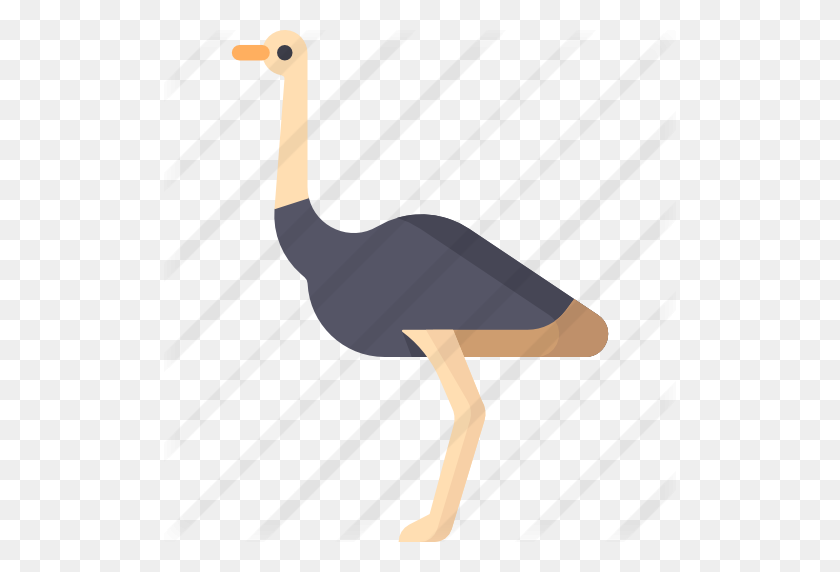 512x512 Ostrich - Ostrich PNG
