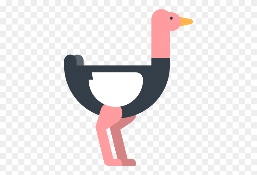 512x512 Ostrich, Animal, Animals Icon Png And Vector For Free Download - Ostrich PNG