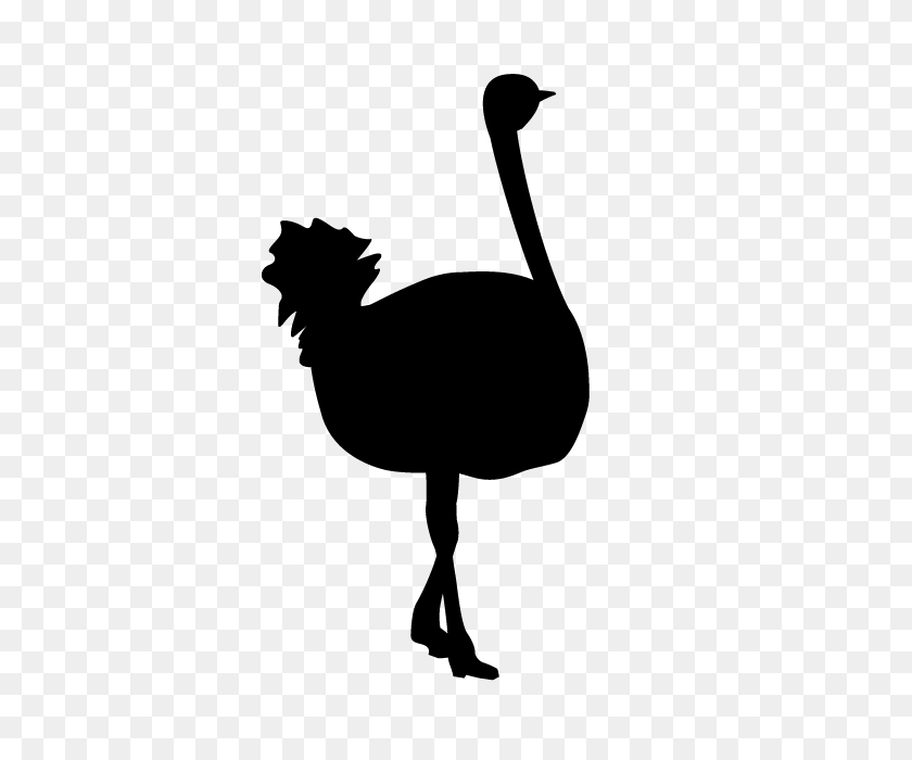 640x640 Ostrich Animal Silhouette Free Illustrations - Ostrich Clipart
