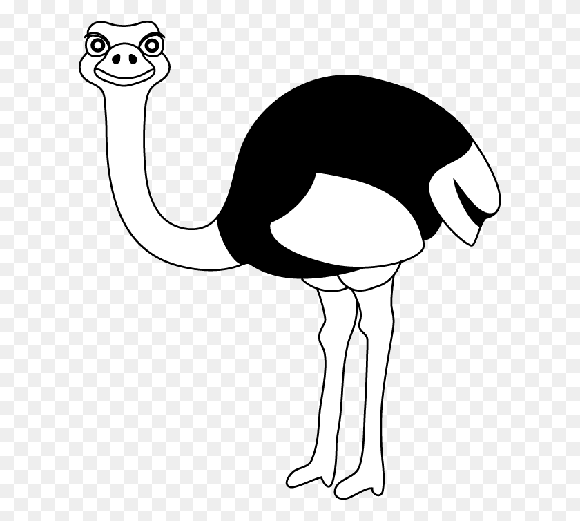 612x694 Ostrich Black And White Clip Art - Fly Clipart Black And White